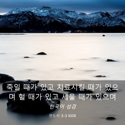 Picture 03 - 전도서 3:3 KOR - 죽일 때가 있고 치료시킬 때가 - Bible Verse Picture