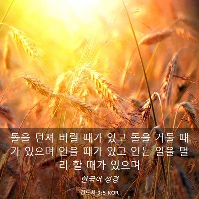 Picture 03 - 전도서 3:5 KOR - 돌을 던져 버릴 때가 있고 돌을 거둘 - Bible Verse Picture