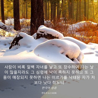 Picture 03 - 전도서 6:3 KOR - 사람이 비록 일백 자녀를 낳고 또 - Bible Verse Picture