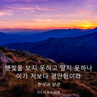 Picture 03 - 전도서 6:5 KOR - 햇빛을 보지 못하고 알지 못하나 - Bible Verse Picture