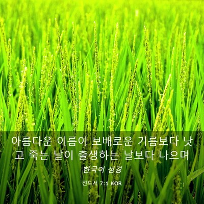 Picture 03 - 전도서 7:1 KOR - 아름다운 이름이 보배로운 기름보다 - Bible Verse Picture