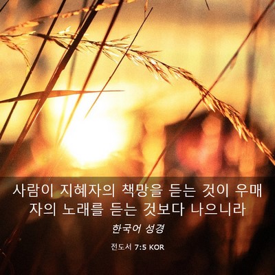 Picture 03 - 전도서 7:5 KOR - 사람이 지혜자의 책망을 듣는 것이 - Bible Verse Picture