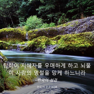 Picture 03 - 전도서 7:7 KOR - 탐학이 지혜자를 우매하게 하고 - Bible Verse Picture