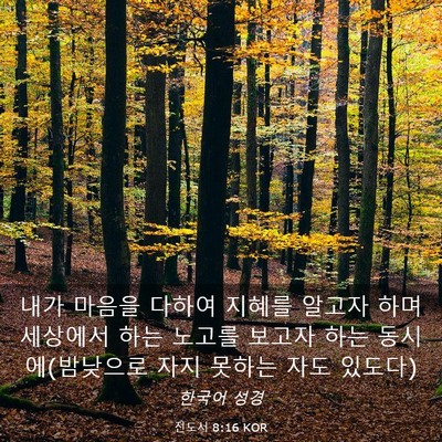 Picture 03 - 전도서 8:16 KOR - 내가 마음을 다하여 지혜를 알고자 - Bible Verse Picture