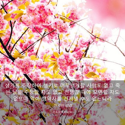 Picture 03 - 전도서 8:8 KOR - 생기를 주장하여 생기로 머무르게할 - Bible Verse Picture