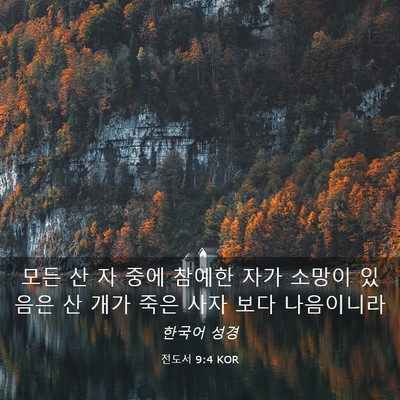 Picture 03 - 전도서 9:4 KOR - 모든 산 자 중에 참예한 자가 소망이 - Bible Verse Picture