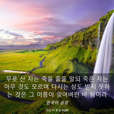 Picture 03 - 전도서 9:5 KOR - 무릇 산 자는 죽을 줄을 알되 죽은 - Bible Verse Picture