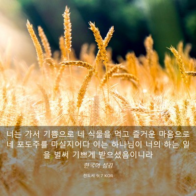 Picture 03 - 전도서 9:7 KOR - 너는 가서 기쁨으로 네 식물을 먹고 - Bible Verse Picture