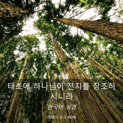 Picture 03 - 창세기 1:1 KOR - 태초에 하나님이 천지를 - Bible Verse Picture