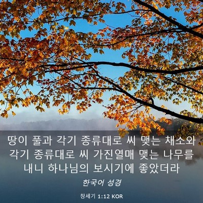 Picture 03 - 창세기 1:12 KOR - 땅이 풀과 각기 종류대로 씨 맺는 - Bible Verse Picture