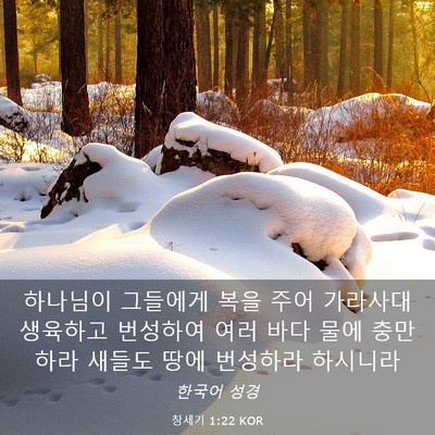 Picture 03 - 창세기 1:22 KOR - 하나님이 그들에게 복을 주어 - Bible Verse Picture