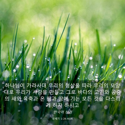 Picture 03 - 창세기 1:26 KOR - 하나님이 가라사대 우리의 형상을 - Bible Verse Picture