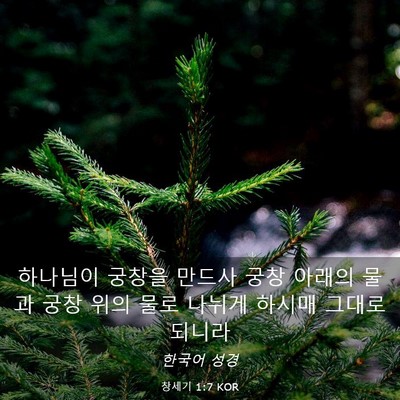 Picture 03 - 창세기 1:7 KOR - 하나님이 궁창을 만드사 궁창 아래의 - Bible Verse Picture