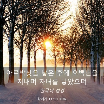 Picture 03 - 창세기 11:11 KOR - 아르박삿을 낳은 후에 오백년을 - Bible Verse Picture