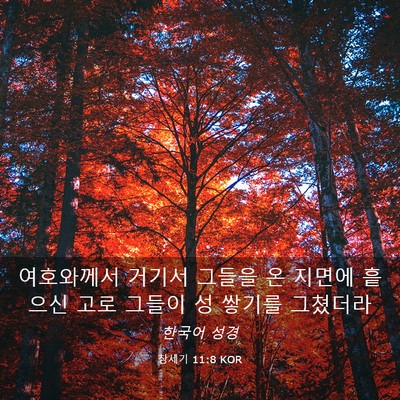 Picture 03 - 창세기 11:8 KOR - 여호와께서 거기서 그들을 온 지면에 - Bible Verse Picture