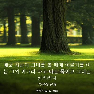 Picture 03 - 창세기 12:12 KOR - 애굽 사람이 그대를 볼 때에 - Bible Verse Picture