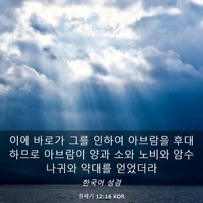 Picture 03 - 창세기 12:16 KOR - 이에 바로가 그를 인하여 아브람을 - Bible Verse Picture