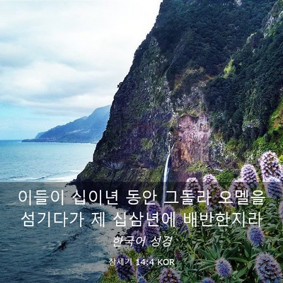 Picture 03 - 창세기 14:4 KOR - 이들이 십이년 동안 그돌라 오멜을 - Bible Verse Picture