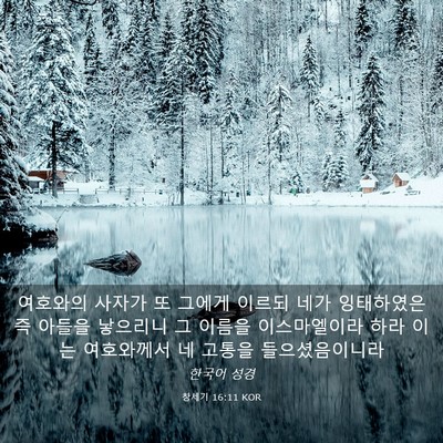 Picture 03 - 창세기 16:11 KOR - 여호와의 사자가 또 그에게 이르되 - Bible Verse Picture