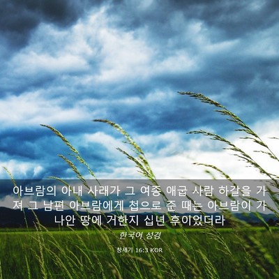 Picture 03 - 창세기 16:3 KOR - 아브람의 아내 사래가 그 여종 애굽 - Bible Verse Picture