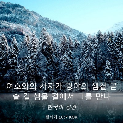 Picture 03 - 창세기 16:7 KOR - 여호와의 사자가 광야의 샘곁 곧 술 - Bible Verse Picture