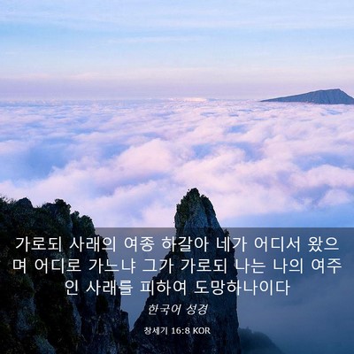Picture 03 - 창세기 16:8 KOR - 가로되 사래의 여종 하갈아 네가 - Bible Verse Picture