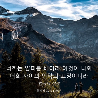 Picture 03 - 창세기 17:11 KOR - 너희는 양피를 베어라 이것이 나와 - Bible Verse Picture