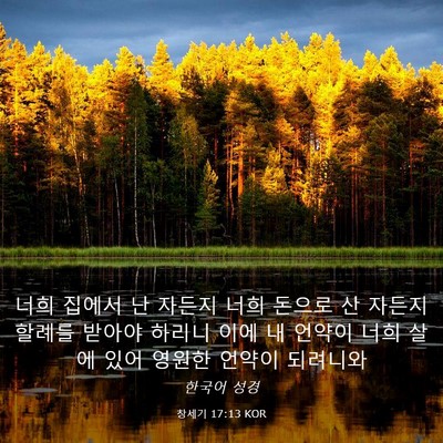 Picture 03 - 창세기 17:13 KOR - 너희 집에서 난 자든지 너희 돈으로 - Bible Verse Picture