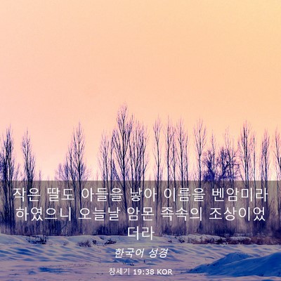 Picture 03 - 창세기 19:38 KOR - 작은 딸도 아들을 낳아 이름을 - Bible Verse Picture