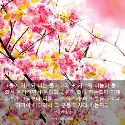 Picture 03 - 창세기 19:9 KOR - 그들이 가로되 너는 물러나라 또 - Bible Verse Picture