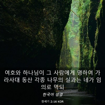 Picture 03 - 창세기 2:16 KOR - 여호와 하나님이 그 사람에게 명하여 - Bible Verse Picture