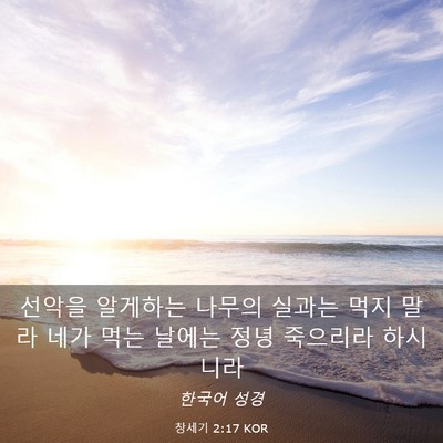 Picture 03 - 창세기 2:17 KOR - 선악을 알게하는 나무의 실과는 먹지 - Bible Verse Picture