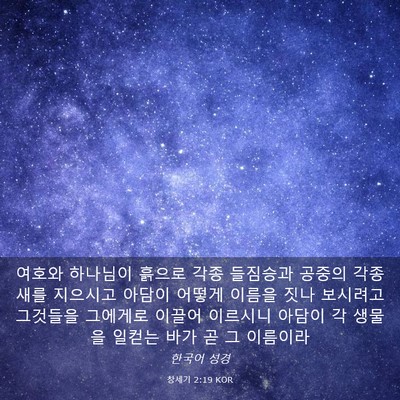 Picture 03 - 창세기 2:19 KOR - 여호와 하나님이 흙으로 각종 - Bible Verse Picture