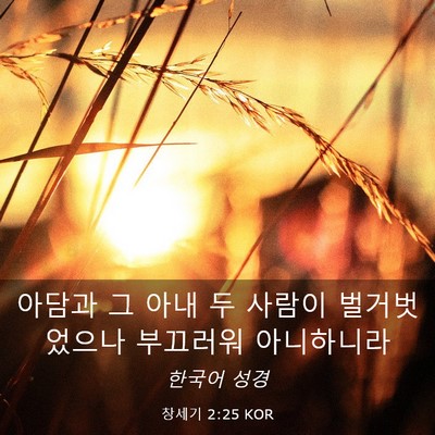 Picture 03 - 창세기 2:25 KOR - 아담과 그 아내 두 사람이 - Bible Verse Picture