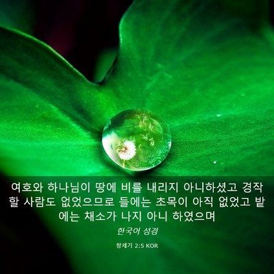 Picture 03 - 창세기 2:5 KOR - 여호와 하나님이 땅에 비를 내리지 - Bible Verse Picture