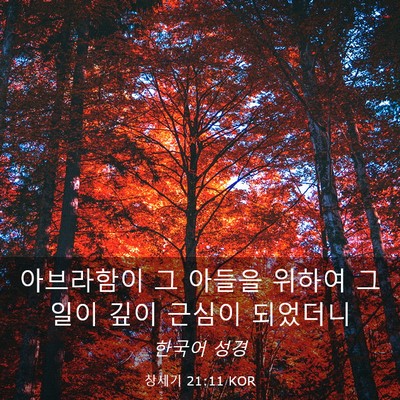 Picture 03 - 창세기 21:11 KOR - 아브라함이 그 아들을 위하여 그 - Bible Verse Picture