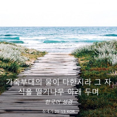 Picture 03 - 창세기 21:15 KOR - 가죽부대의 물이 다한지라 그 자식을 - Bible Verse Picture