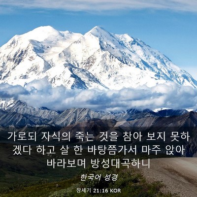Picture 03 - 창세기 21:16 KOR - 가로되 자식의 죽는 것을 참아 보지 - Bible Verse Picture