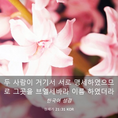 Picture 03 - 창세기 21:31 KOR - 두 사람이 거기서 서로 - Bible Verse Picture