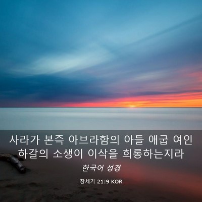 Picture 03 - 창세기 21:9 KOR - 사라가 본즉 아브라함의 아들 애굽 - Bible Verse Picture