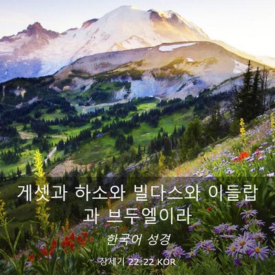 Picture 03 - 창세기 22:22 KOR - 게셋과 하소와 빌다스와 이들랍과 - Bible Verse Picture