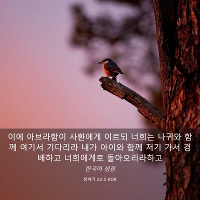 Picture 03 - 창세기 22:5 KOR - 이에 아브라함이 사환에게 이르되 - Bible Verse Picture