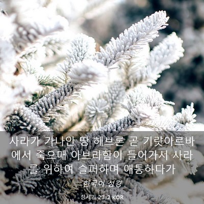Picture 03 - 창세기 23:2 KOR - 사라가 가나안 땅 헤브론 곧 - Bible Verse Picture