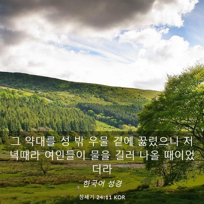 Picture 03 - 창세기 24:11 KOR - 그 약대를 성 밖 우물 곁에 꿇렸으니 - Bible Verse Picture