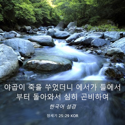 Picture 03 - 창세기 25:29 KOR - 야곱이 죽을 쑤었더니 에서가 - Bible Verse Picture