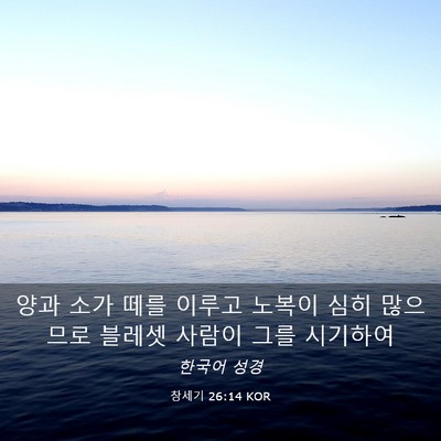 Picture 03 - 창세기 26:14 KOR - 양과 소가 떼를 이루고 노복이 심히 - Bible Verse Picture