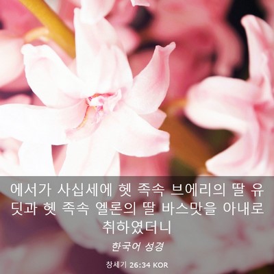 Picture 03 - 창세기 26:34 KOR - 에서가 사십세에 헷 족속 브에리의 - Bible Verse Picture