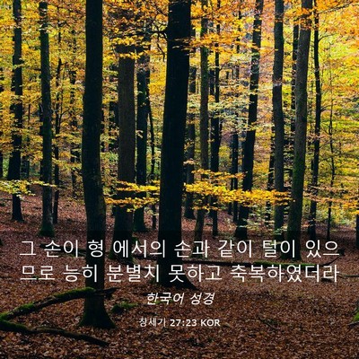 Picture 03 - 창세기 27:23 KOR - 그 손이 형 에서의 손과 같이 털이 - Bible Verse Picture