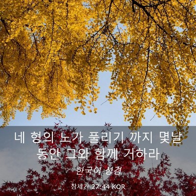 Picture 03 - 창세기 27:44 KOR - 네 형의 노가 풀리기 까지 몇날 동안 - Bible Verse Picture