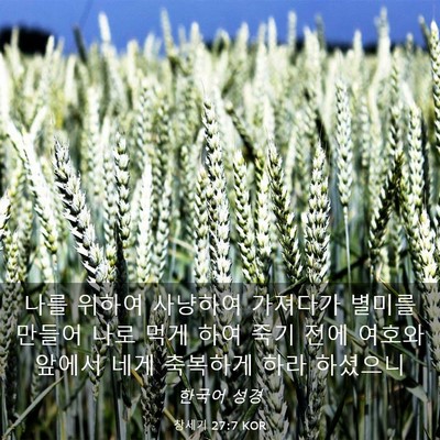 Picture 03 - 창세기 27:7 KOR - 나를 위하여 사냥하여 가져다가 - Bible Verse Picture